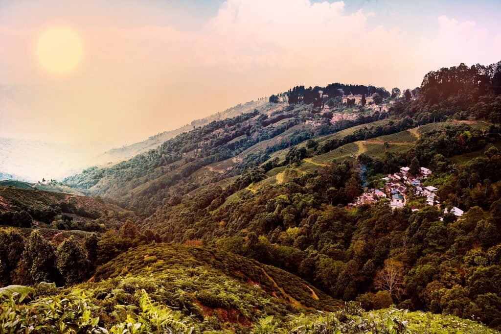 Climatic environment of Darjeeling district
