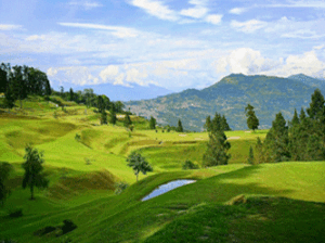 Durpin Dhara