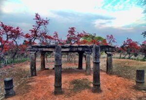 রাকব বন (Rakab Forest, Purulia District)