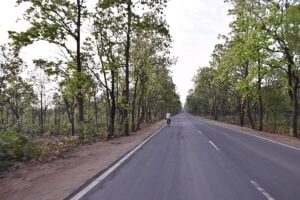 বীরভূম জেলার সিউরি দুমকা হাইওয়ে (Seorakuri forest, Seorakuri, Suri Dumka highway in Birbhum district)