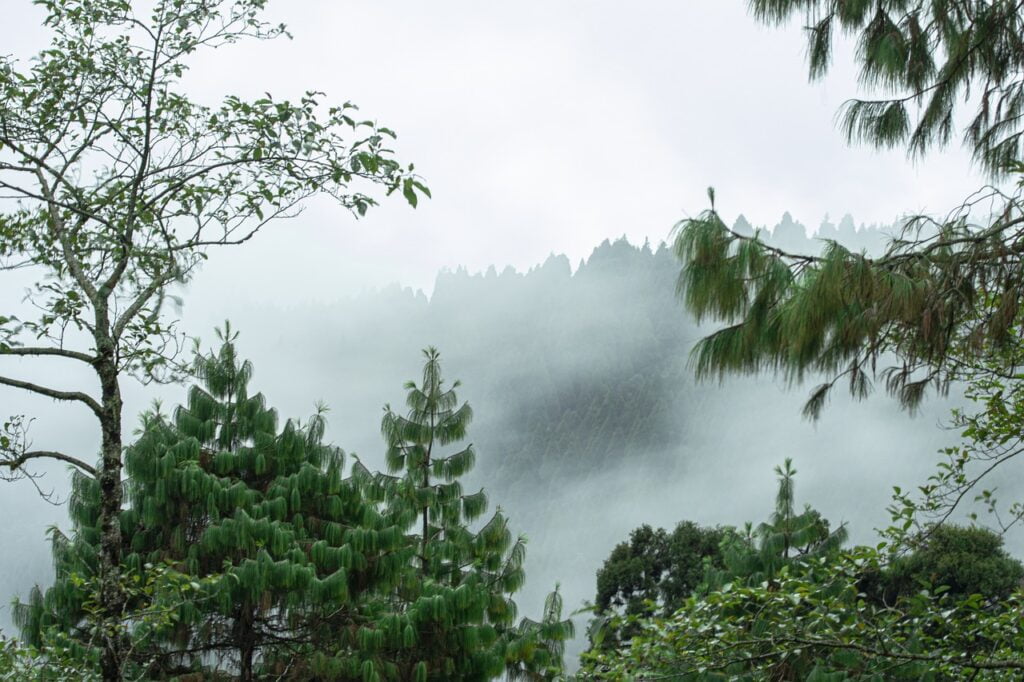 Sanctuary of Darjeeling District